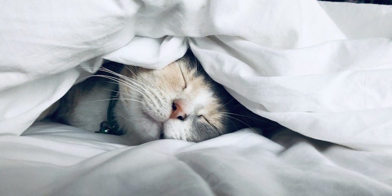 Evening routine for better sleep